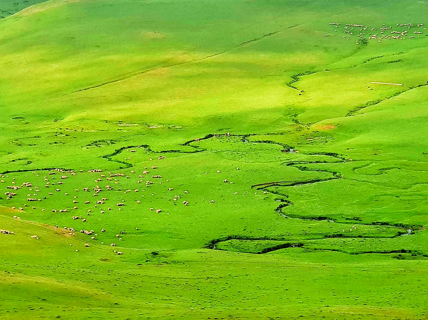 Perşembe Yaylası